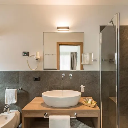 Aster Hotel Moena